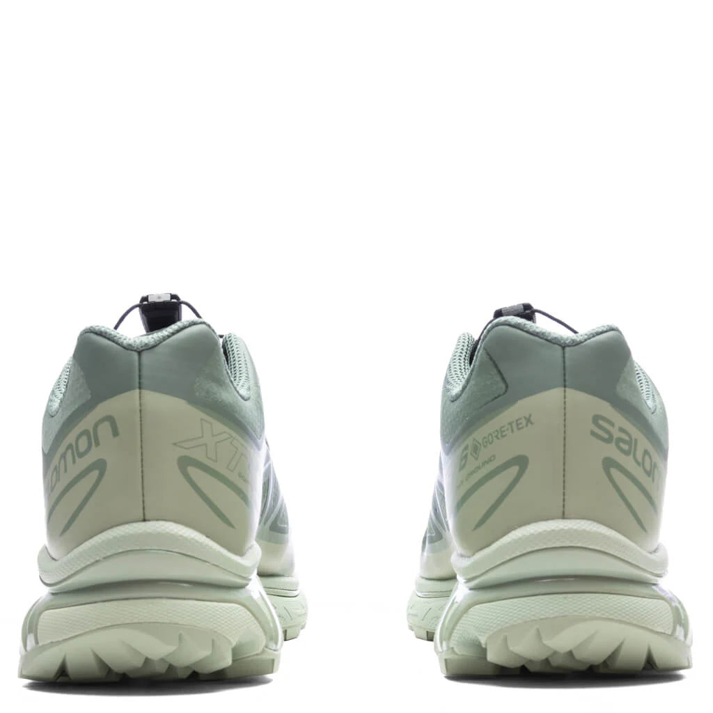XT 6 GTX Desert Sage Lily Pad Laurel Wren