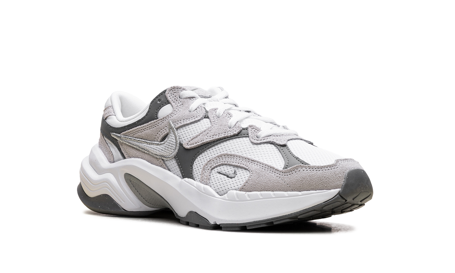 AL8 WMNS"Smoke Grey Metallic Silver" FJ3794 101