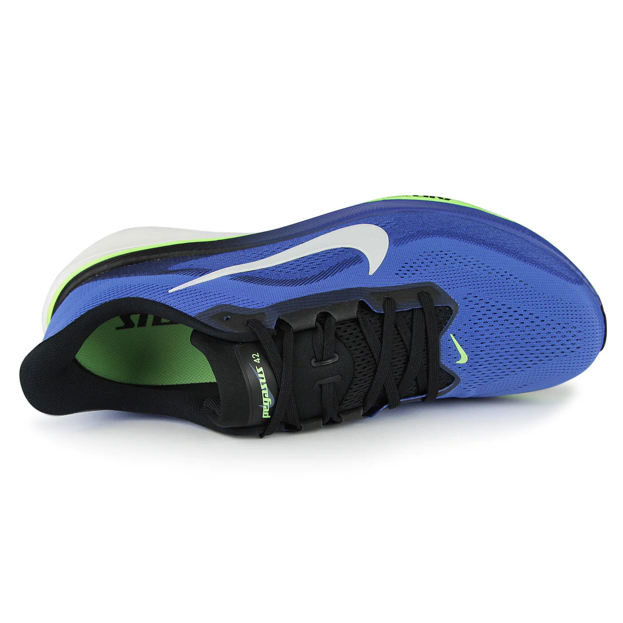 Pegasus 42