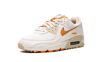 AIR MAX 90 SE WMNS DQ8593 001