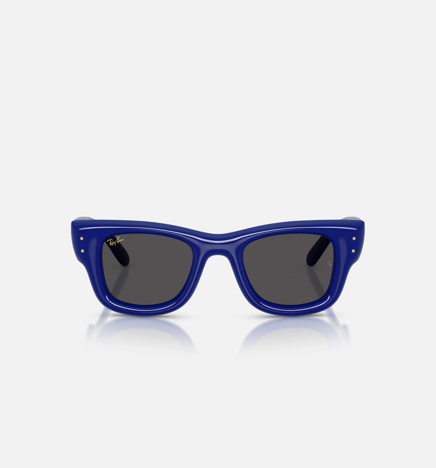 AAP Rocky x The Wayfarer Puffer Mens Sunglases Blue