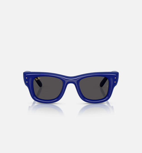 AAP Rocky x The Wayfarer Puffer Mens Sunglases Blue