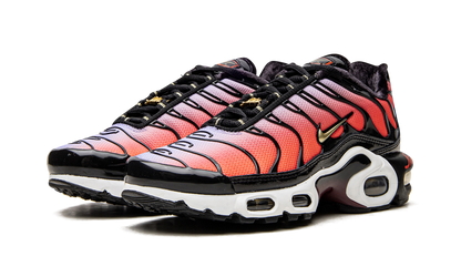 AIR MAX PLUS MNS WMNS"Sisterhood" DO6115 500