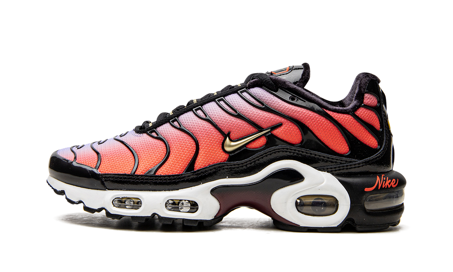 AIR MAX PLUS MNS WMNS"Sisterhood" DO6115 500