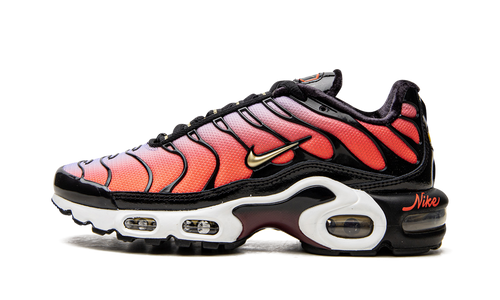 AIR MAX PLUS MNS WMNS"Sisterhood" DO6115 500