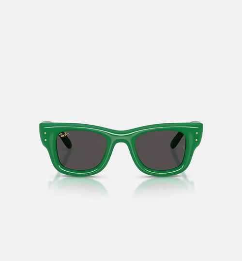 The Wayfarer Puffer by AAP Rocky Mens Sunglasses Green