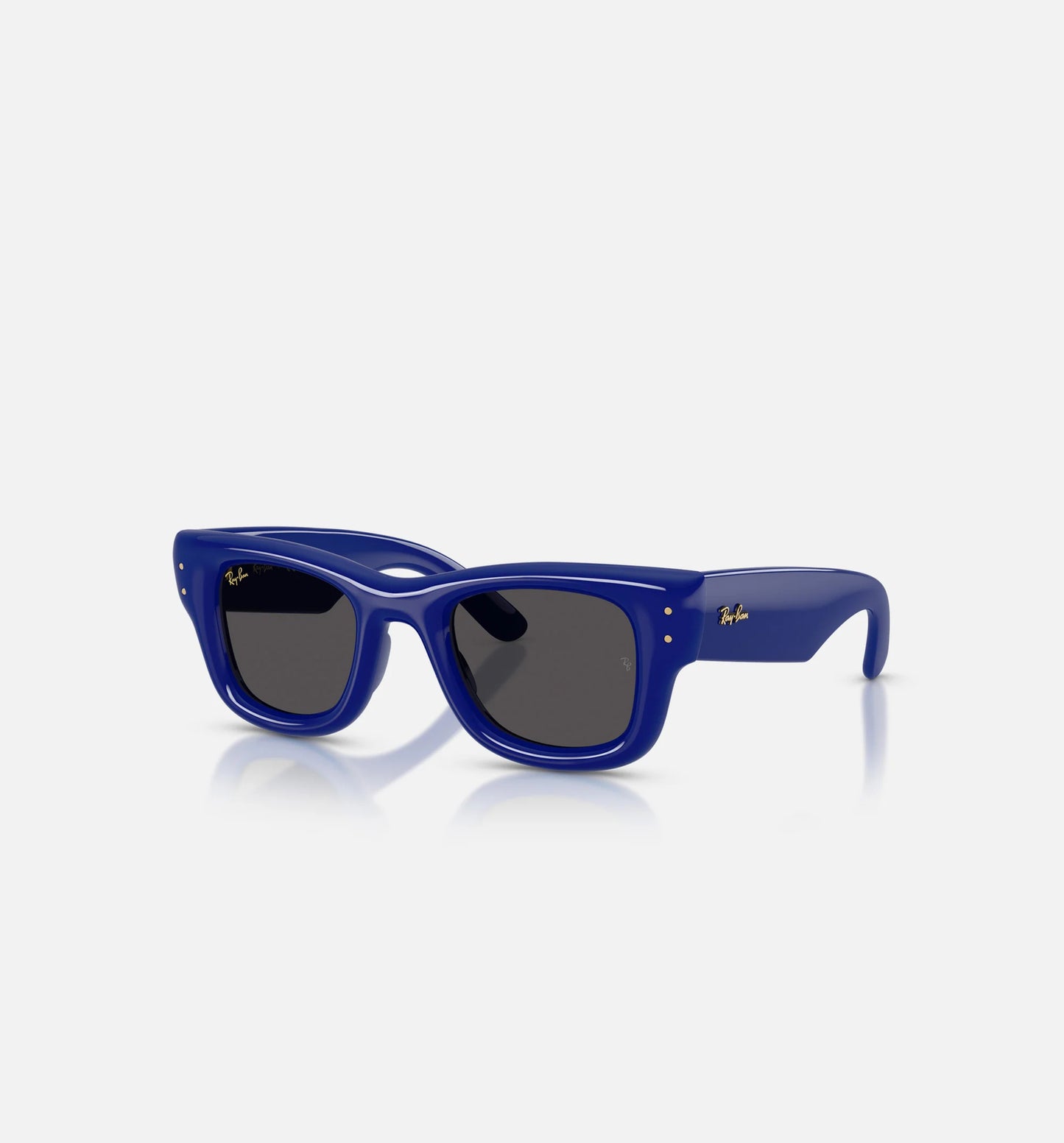 AAP Rocky x The Wayfarer Puffer Mens Sunglases Blue