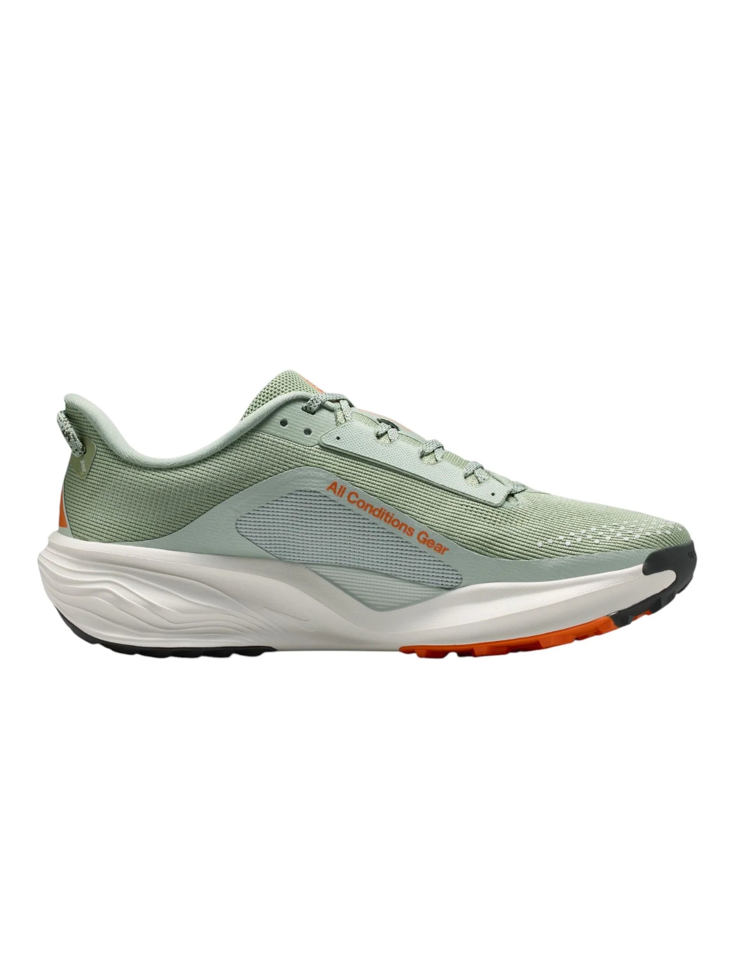 Nike ACG Pegasus Trail Mens Shoes