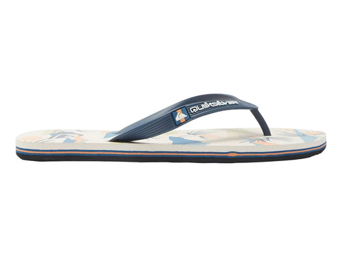 Sandalias Quiksilver Molokai Art Multicolor para Hombre