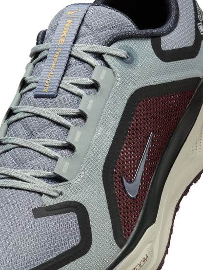 Nike Pegasus 41 GORE TEX Mens Shoes