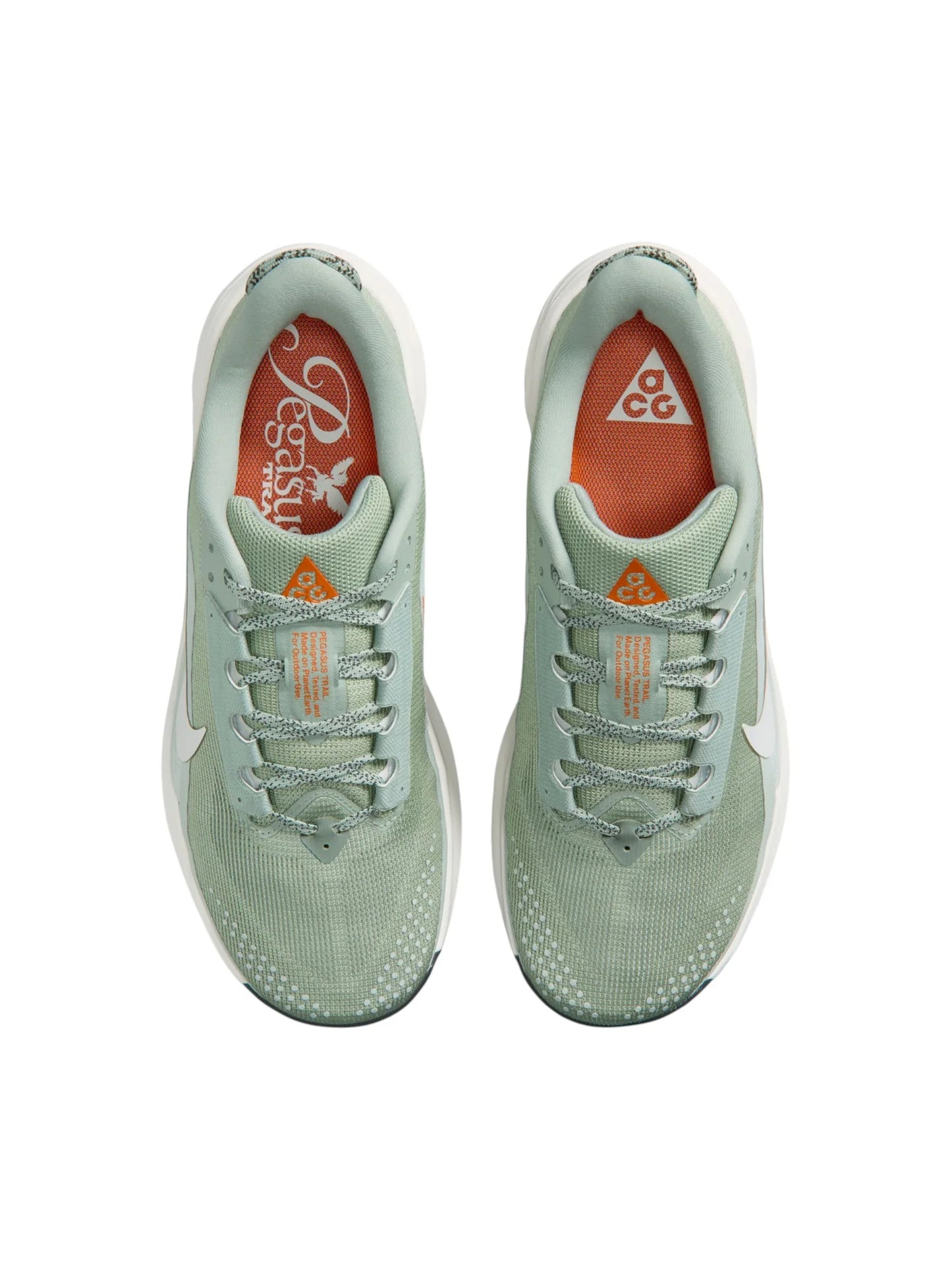 Nike ACG Pegasus Trail Mens Shoes