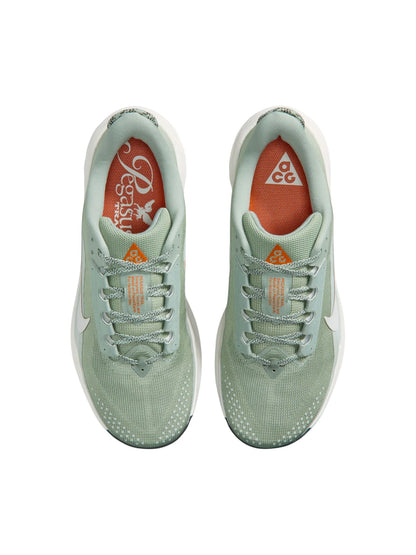 Nike ACG Pegasus Trail Mens Shoes