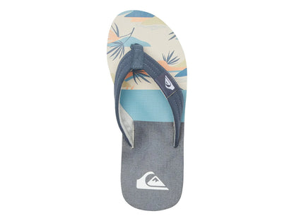 Sandalias Quiksilver Molokai Layback II Gris para Hombre