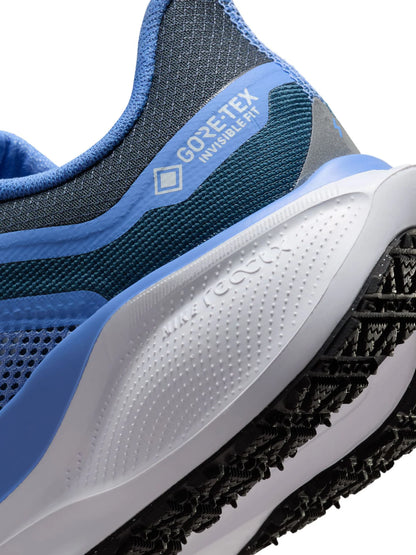 Nike Pegasus 41 GORE TEX Womens Shoes