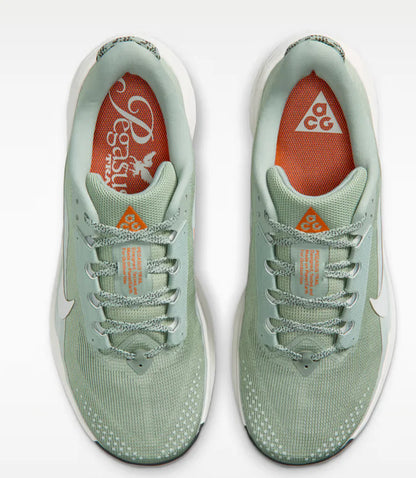 Mens Nike ACG Pegasus Trail