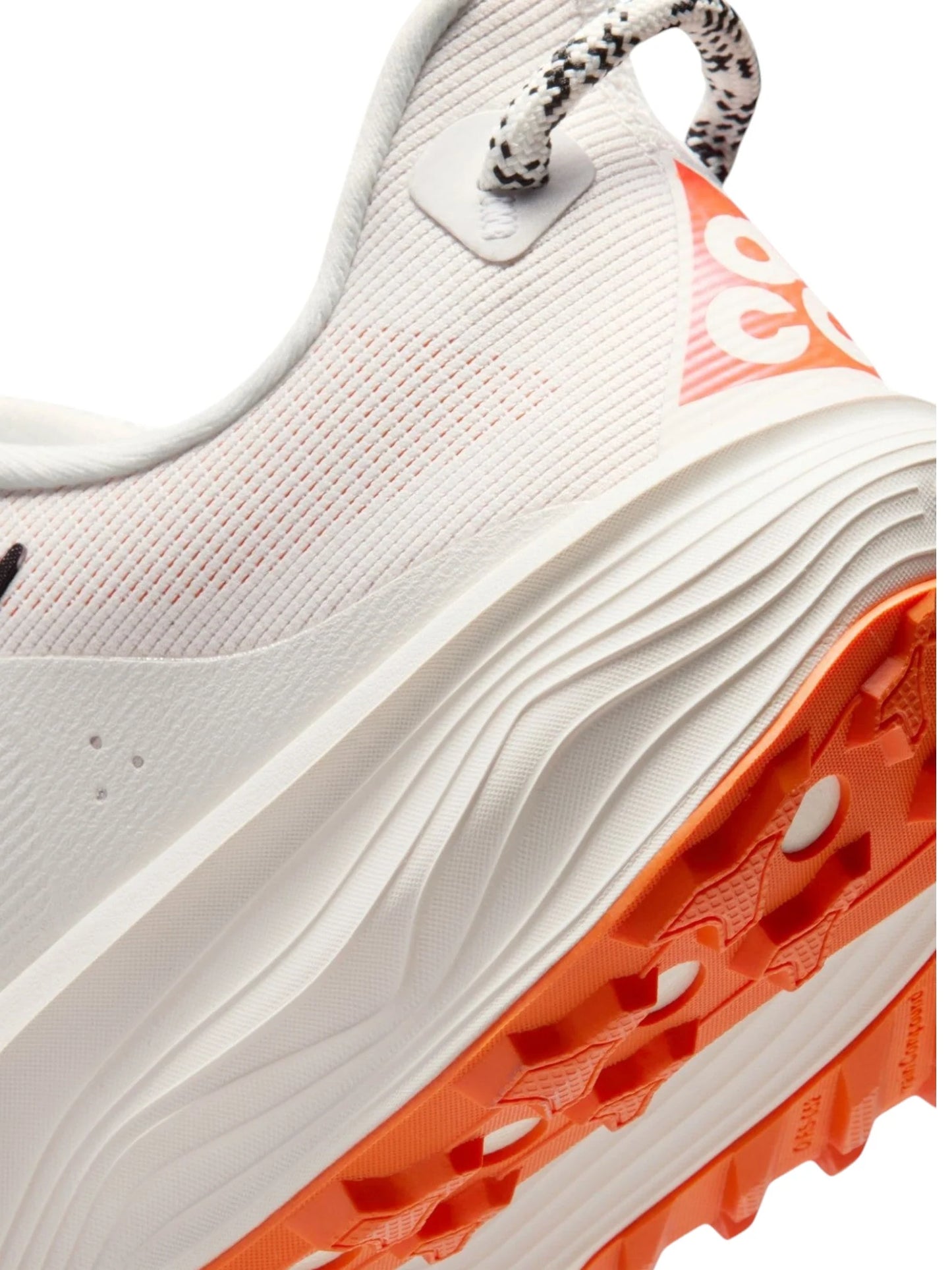 Nike ACG Pegasus Trail Mens Shoes