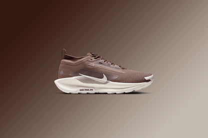 Pegasus Trail 5 GORE TEX SP Mink Brown Baroque Brown Moon Particle