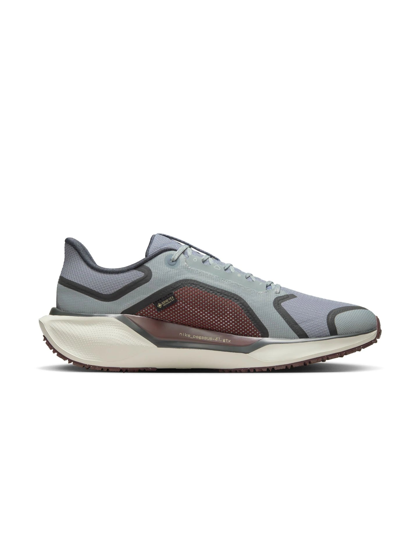 Nike Pegasus 41 GORE TEX Mens Shoes