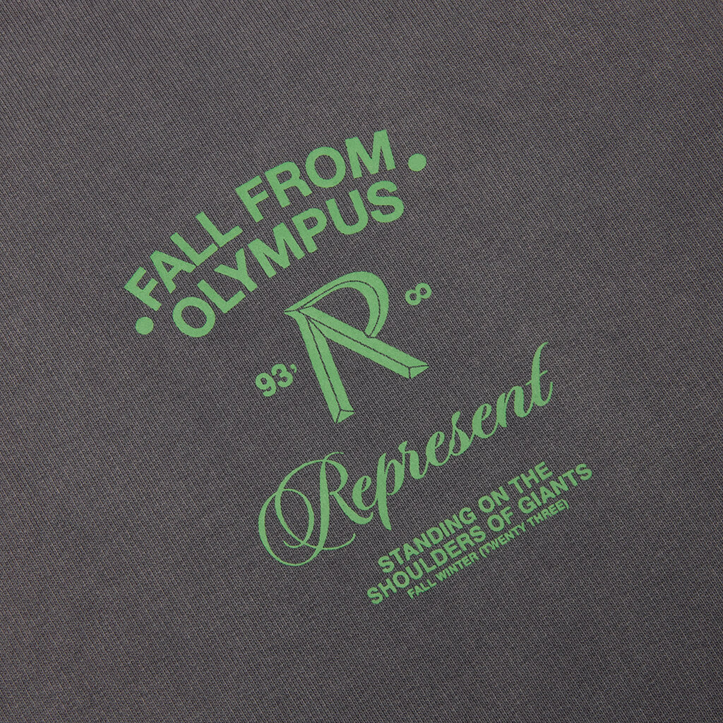 Fall From Olympus Hoodie Storm