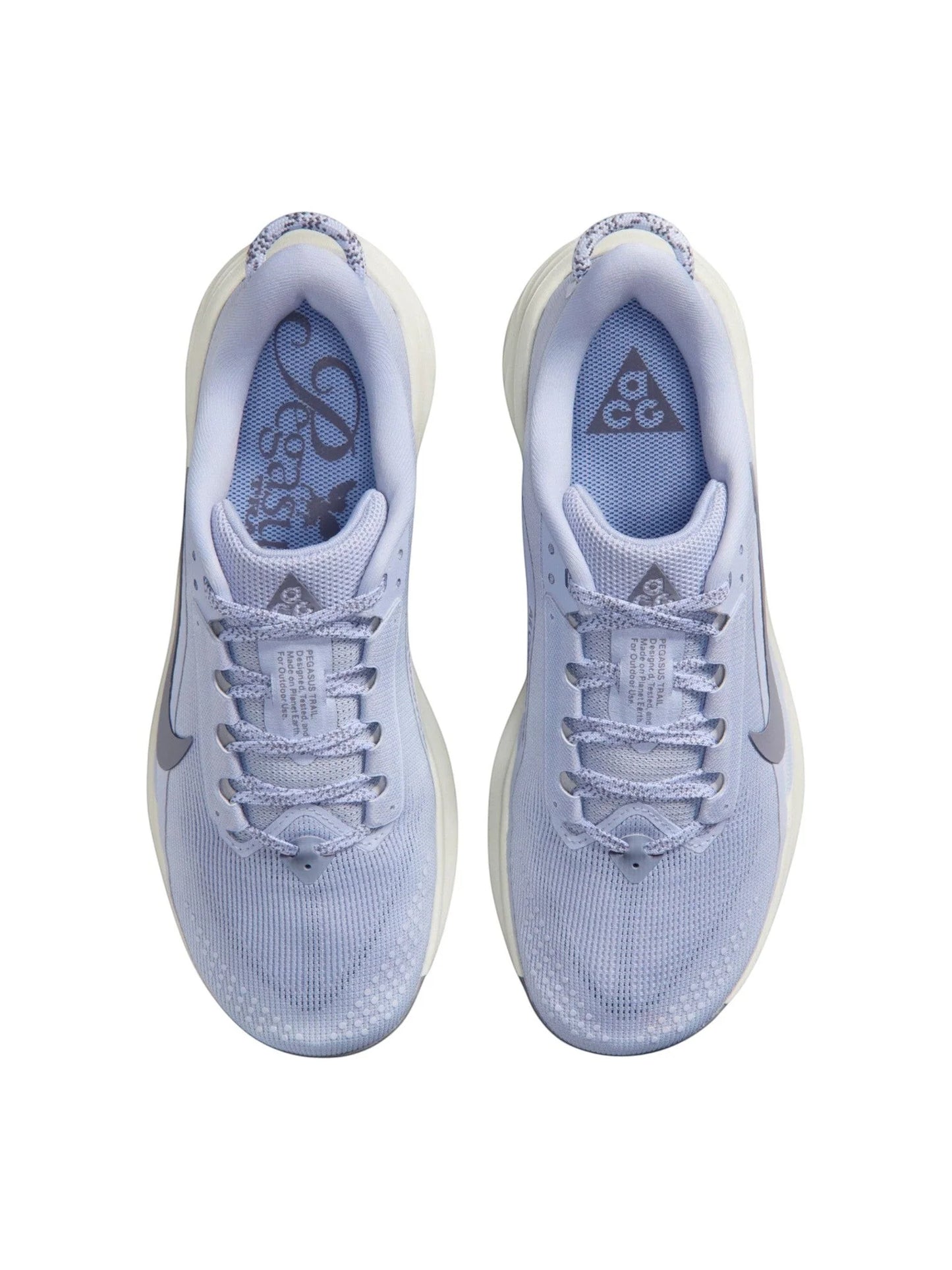 Nike ACG Pegasus Trail Womens Shoes