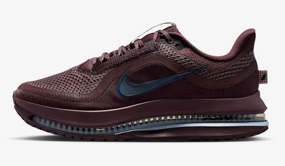 Womens Nike Pegasus Premium