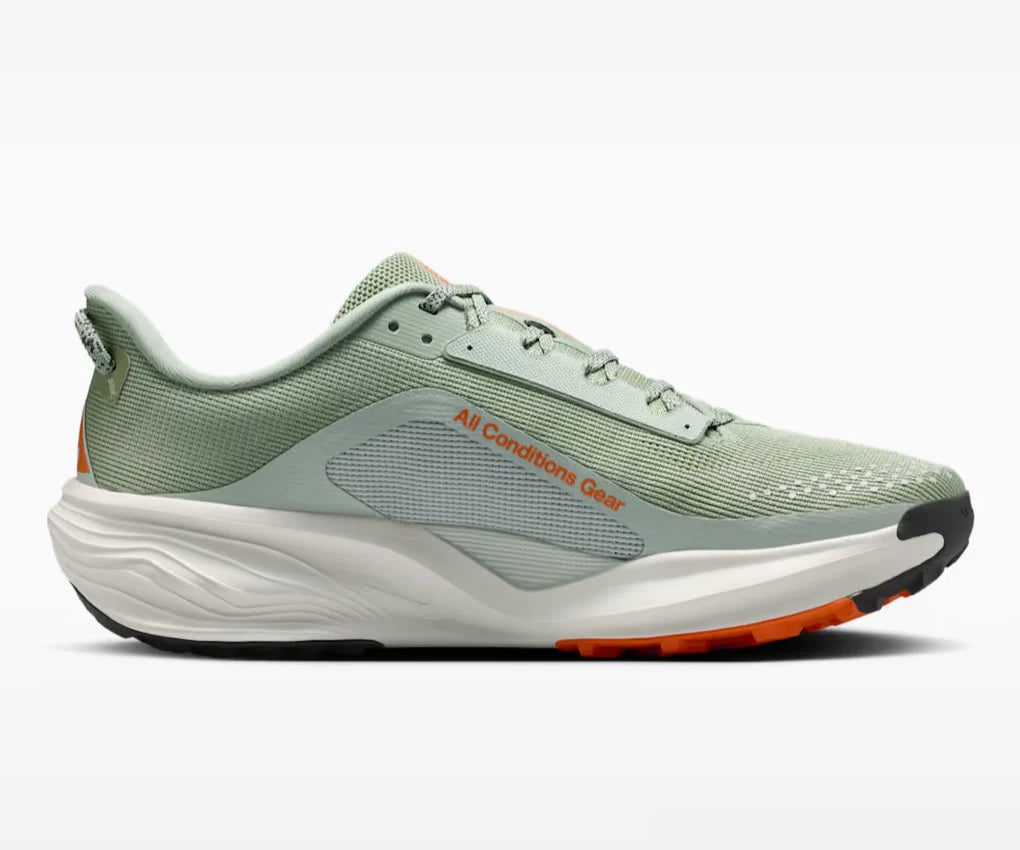 Mens Nike ACG Pegasus Trail