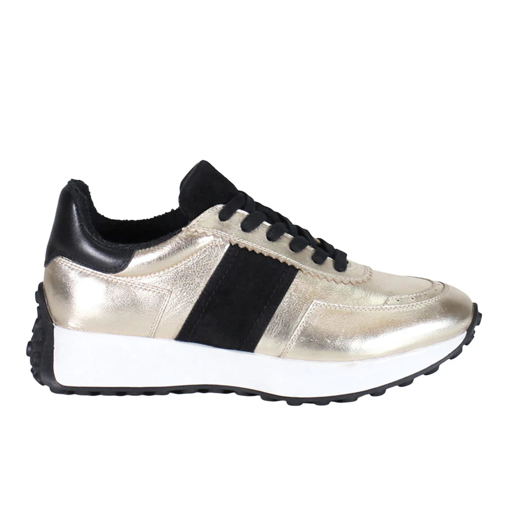 Know It All Metallic Lace Up Sneakers