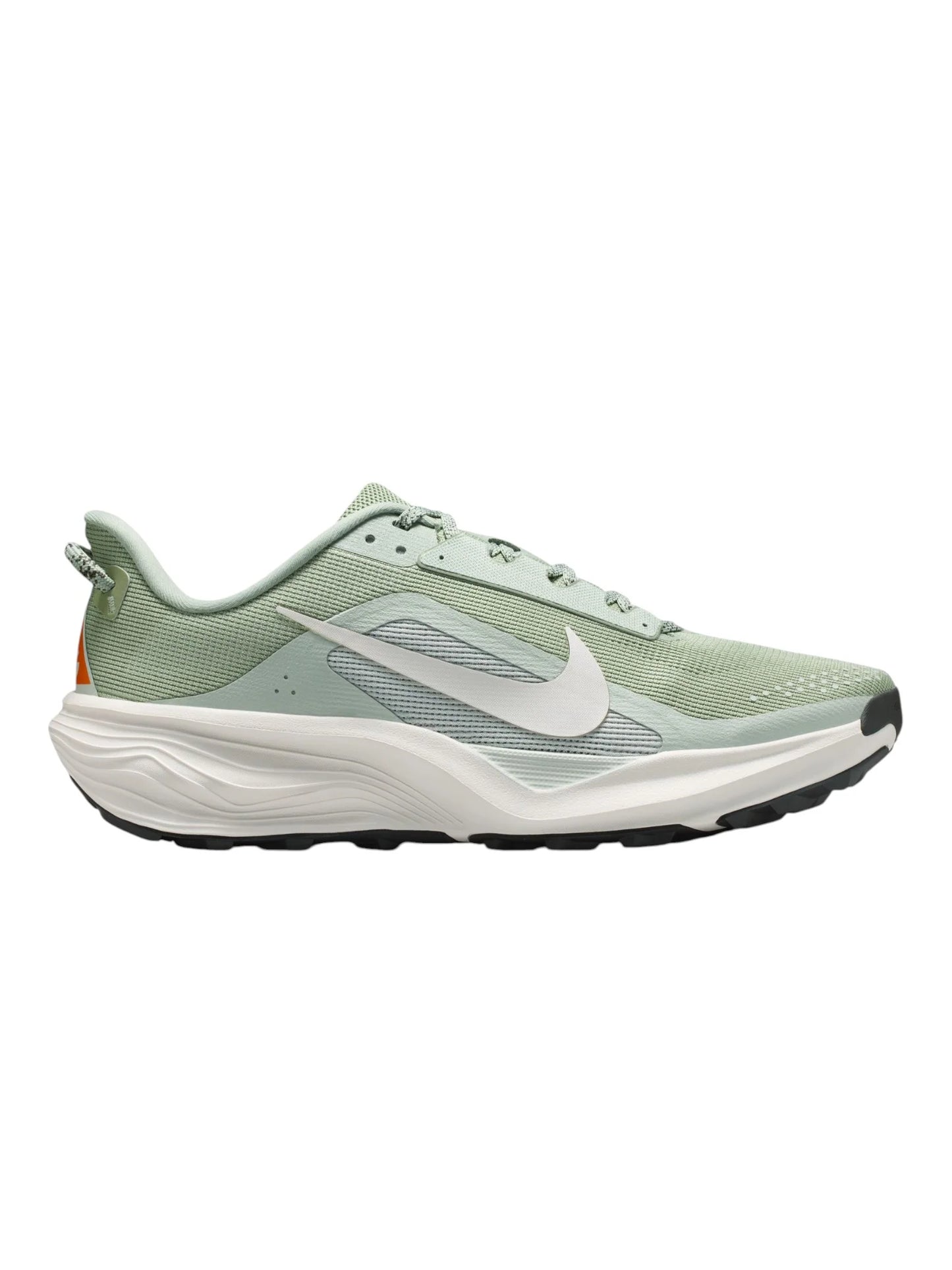 Nike ACG Pegasus Trail Mens Shoes