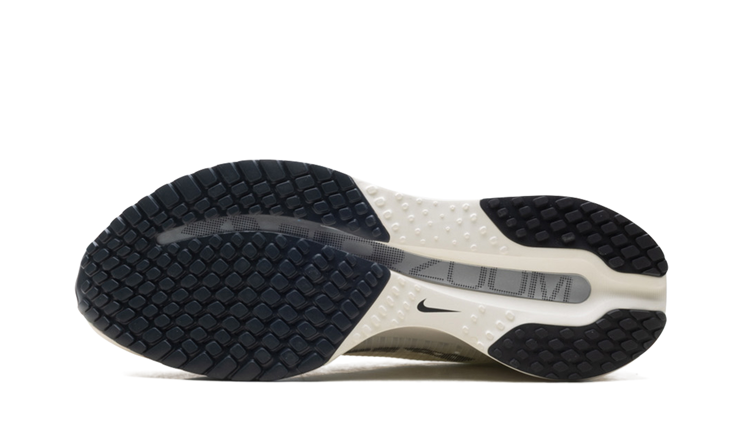 Air Zoom Pegasus Premium WMNS"Sail Off Noir" HQ2593 106