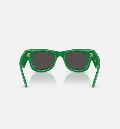The Wayfarer Puffer by AAP Rocky Mens Sunglasses Green