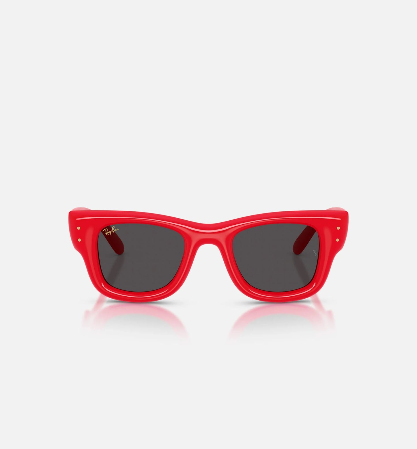 AAP Rocky x The Wayfarer Puffer Mens Sunglases Red