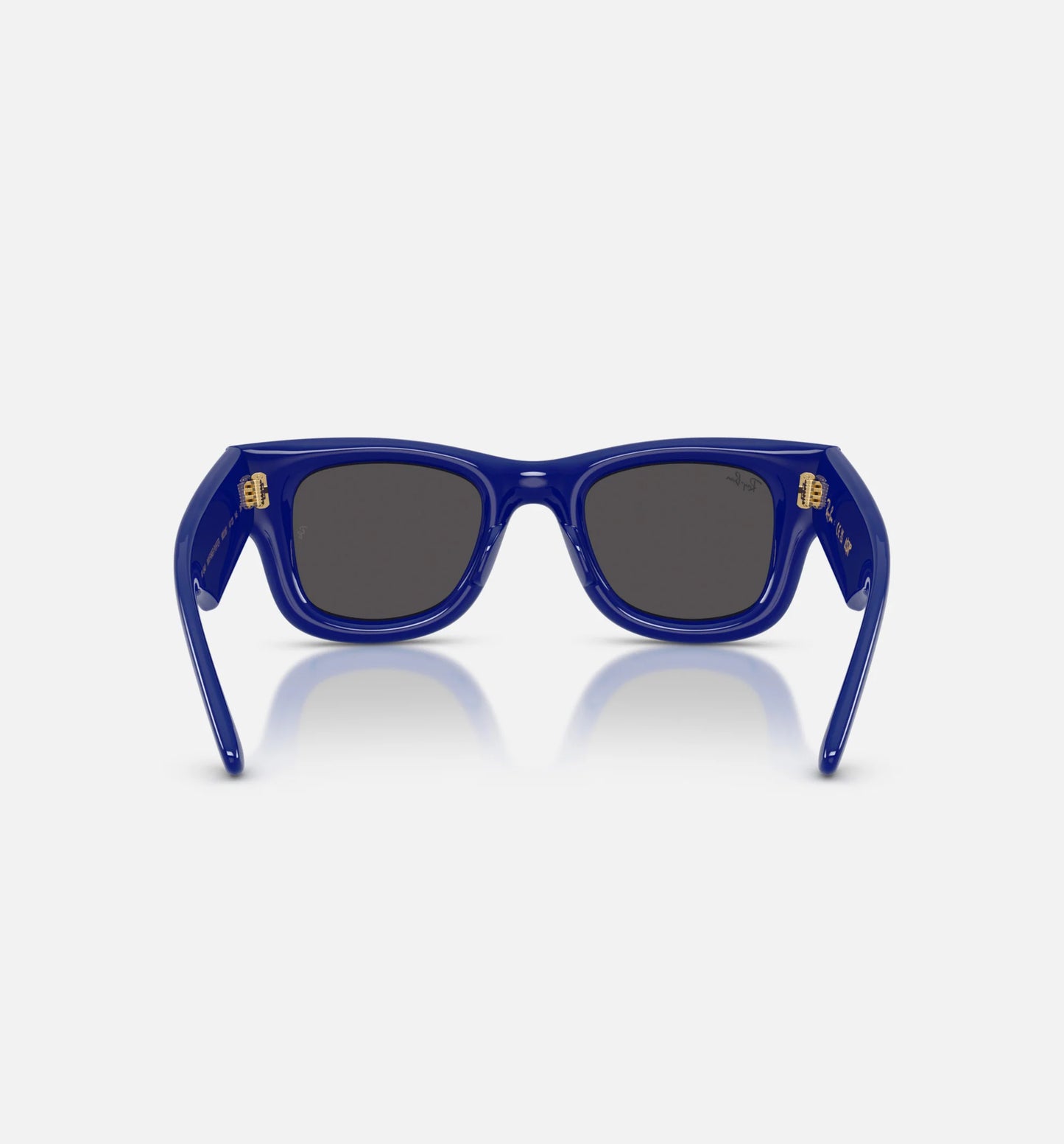 AAP Rocky x The Wayfarer Puffer Mens Sunglases Blue