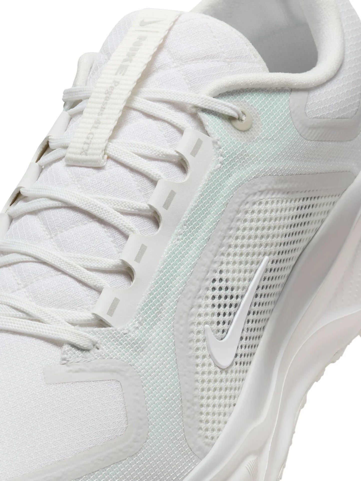 Nike Pegasus 41 GORE TEX Mens Shoes
