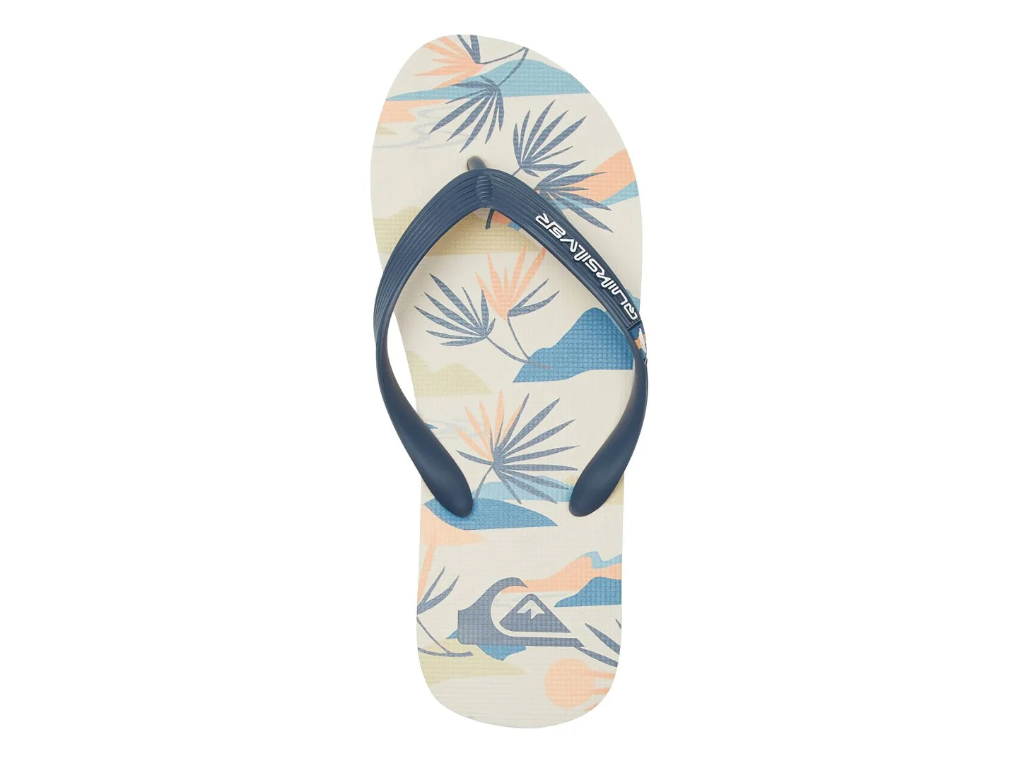 Sandalias Quiksilver Molokai Art Multicolor para Hombre