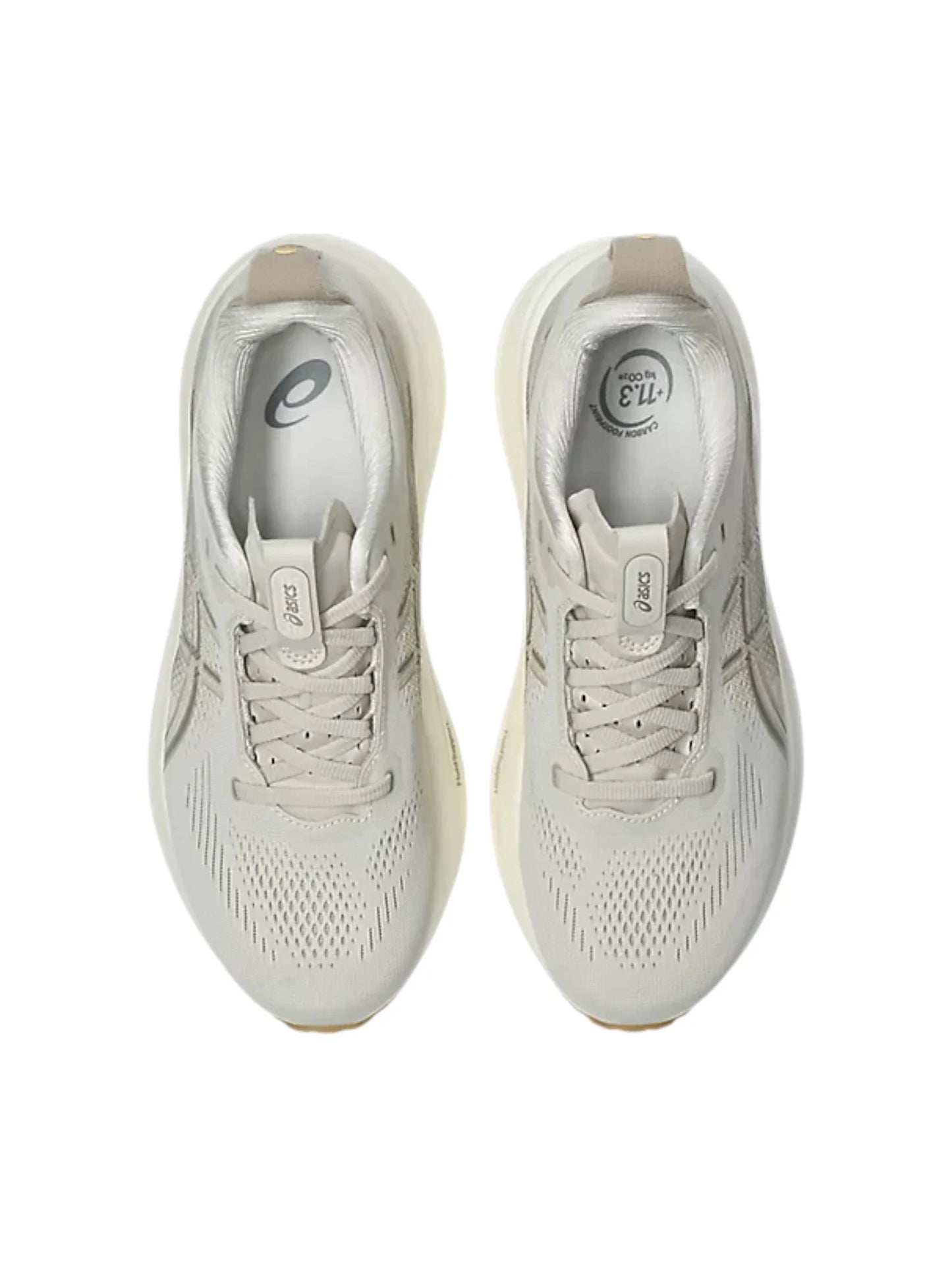 Asics Gel Kayano 33 Womens Shoes