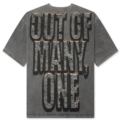 Liberty Ruins T Shirt Grey