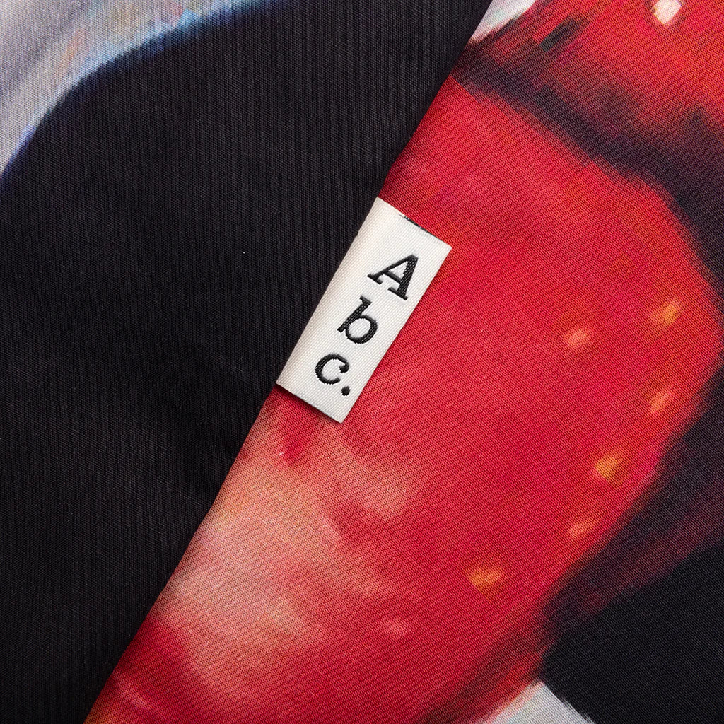 For James Rosenquist Foundation Art Shirt Energy Crisis