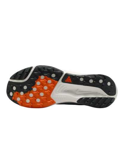 Nike ACG Pegasus Trail Mens Shoes