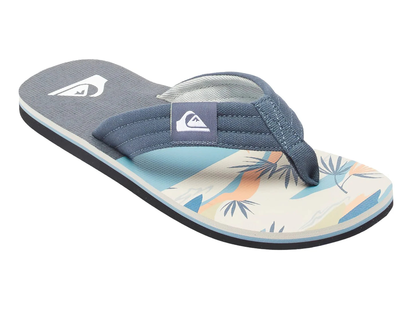 Sandalias Quiksilver Molokai Layback II Gris para Hombre