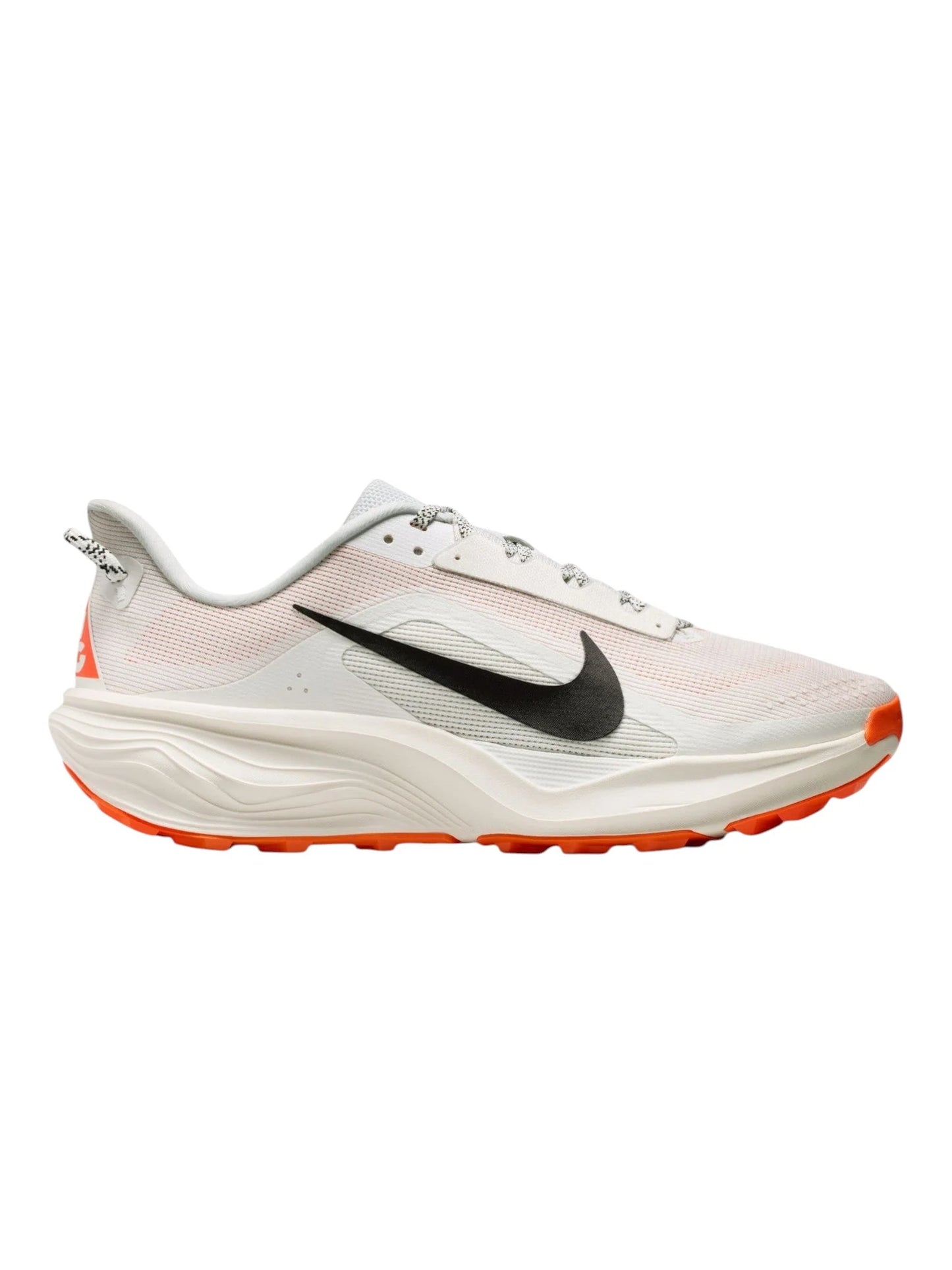 Nike ACG Pegasus Trail Mens Shoes