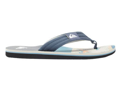 Sandalias Quiksilver Molokai Layback II Gris para Hombre
