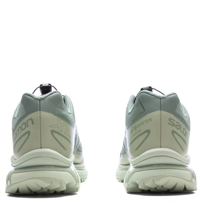 XT 6 GTX Desert Sage Lily Pad Laurel Wren