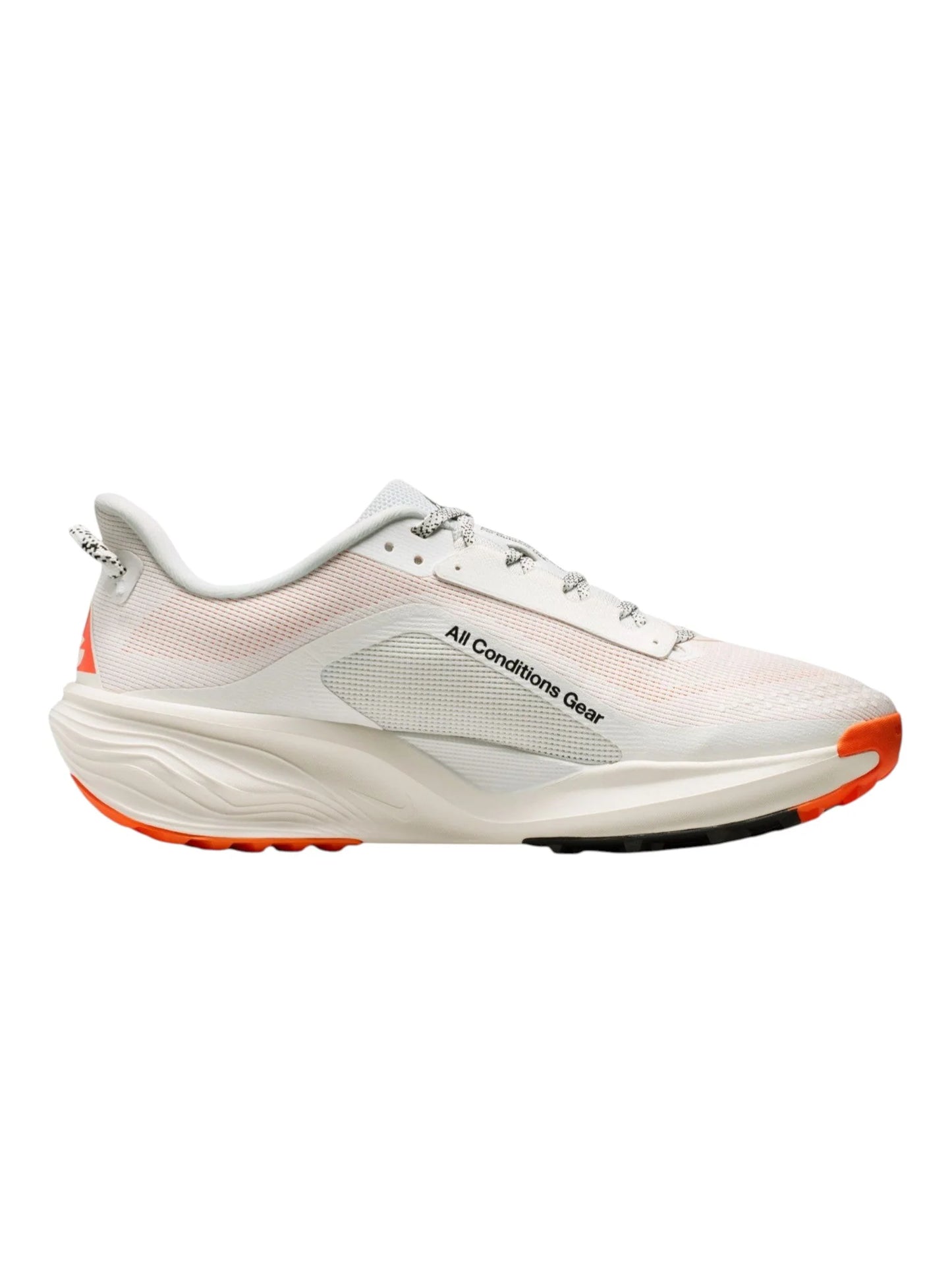 Nike ACG Pegasus Trail Mens Shoes