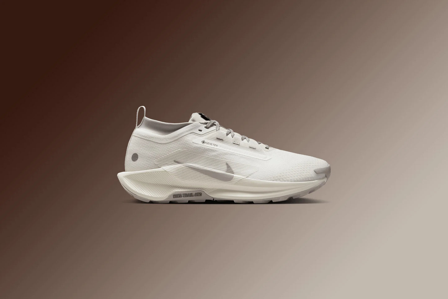 Pegasus Trail 5 GORE TEX SP Summit White College Grey Light Bone