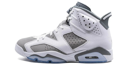 Air Jordan 6 Cool Grey