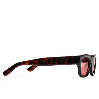 Zed Tortoise Rose