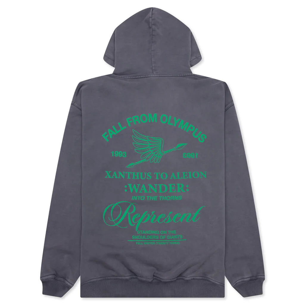 Fall From Olympus Hoodie Storm