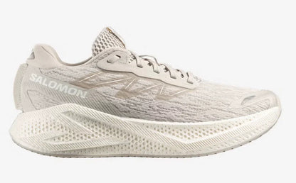 Mens Salomon Aero Glide 4