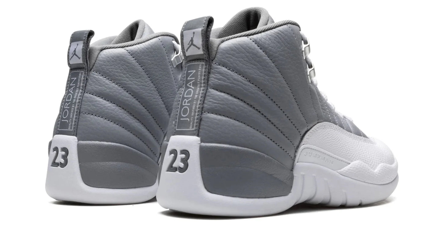 Air Jordan 12 Stealth