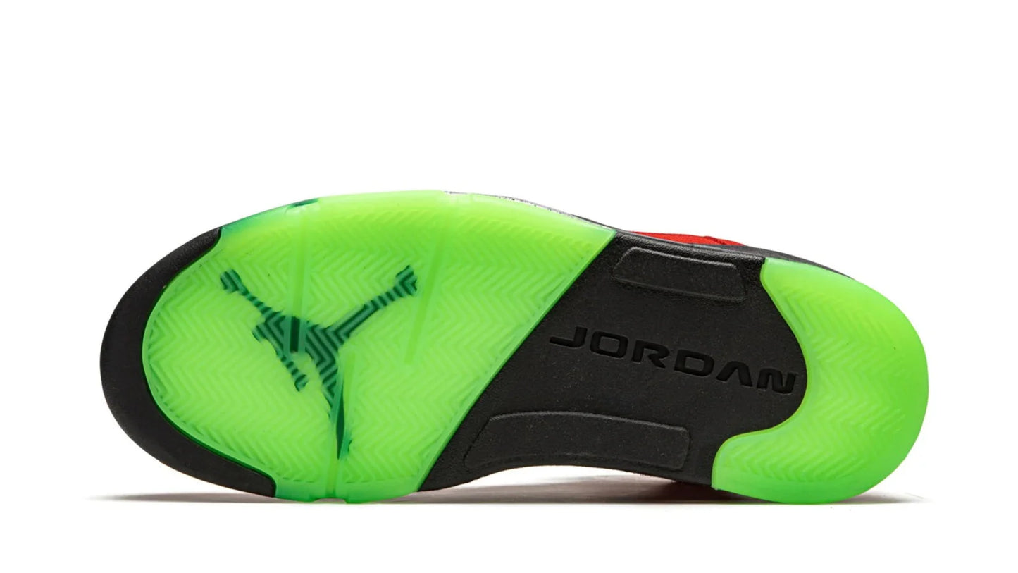 Air Jordan 5 Retro What The